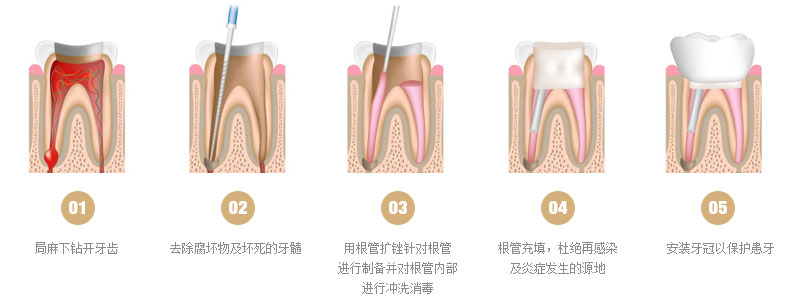 威尼斯app游戏平台