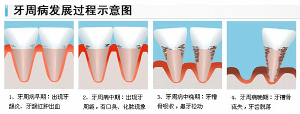 威尼斯app游戏平台
