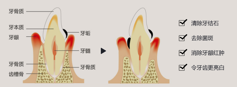 威尼斯app游戏平台