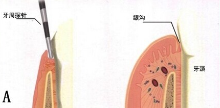 威尼斯app游戏平台