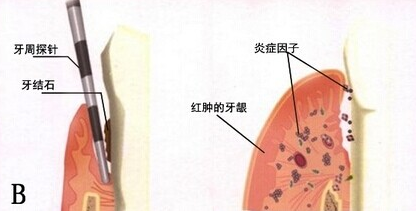 威尼斯app游戏平台