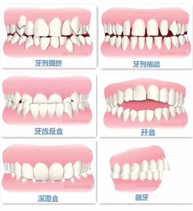 威尼斯app游戏平台