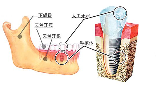 威尼斯app游戏平台