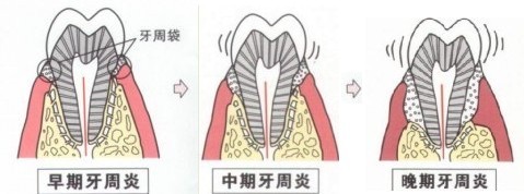威尼斯app游戏平台