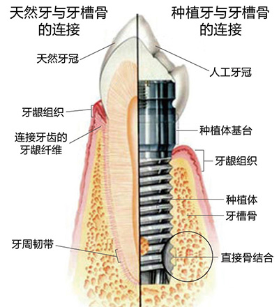 威尼斯app游戏平台