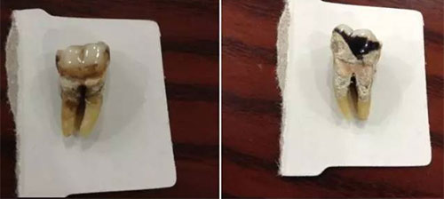威尼斯app游戏平台