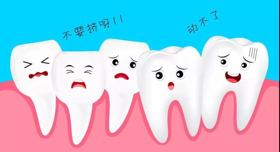 威尼斯app游戏平台